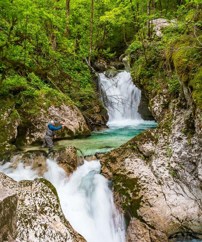 Slovenia: The New Zealand of Europe