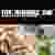A black bar with the title "Mr. Magazine™" and subtitle "more information in less time and less space", above a collage of magazine covers