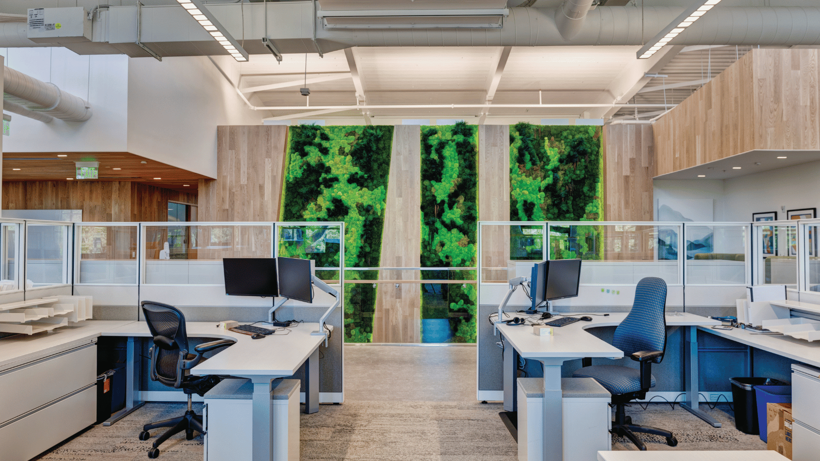 Read article: Investing in a Natural Workplace